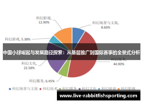 中国小球崛起与发展路径探索：从基层推广到国际赛事的全景式分析