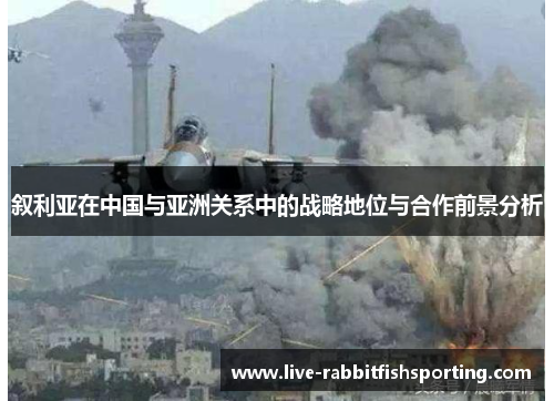 叙利亚在中国与亚洲关系中的战略地位与合作前景分析