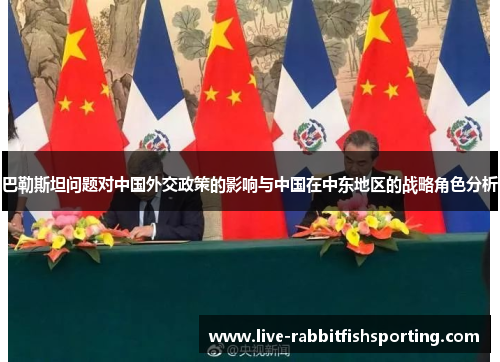 巴勒斯坦问题对中国外交政策的影响与中国在中东地区的战略角色分析